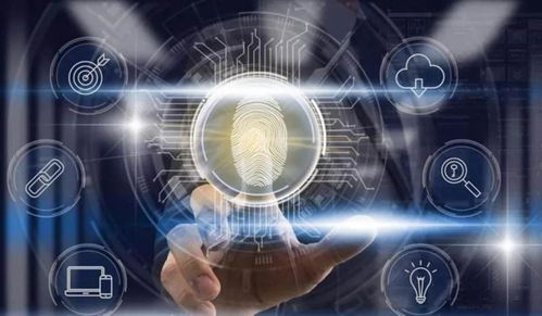 区块链技术如何破除信息孤岛壁垒 信息技术咨询服务的视角